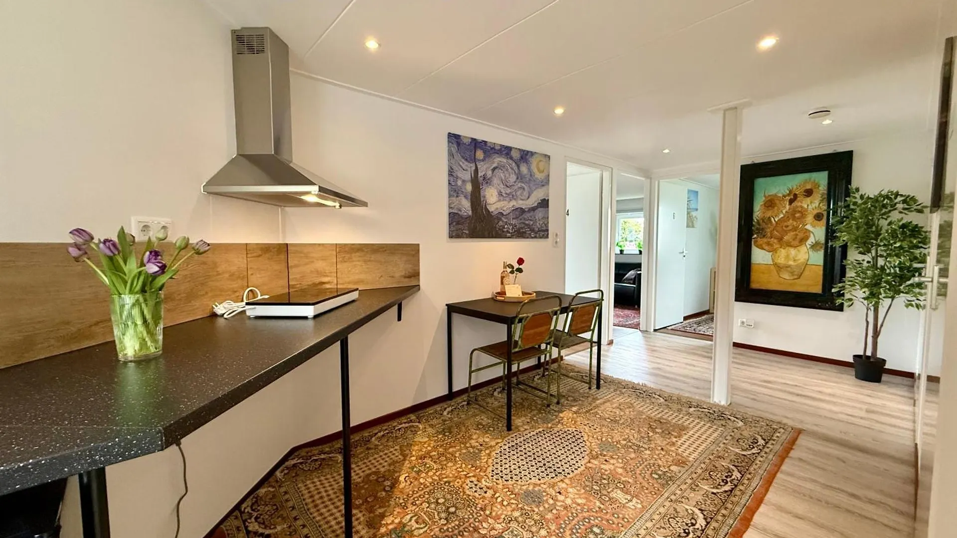 Apartment Holiday Home Vijfhuizen 2Pers Netherlands